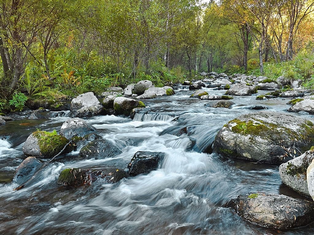 Flow Measurement Systems