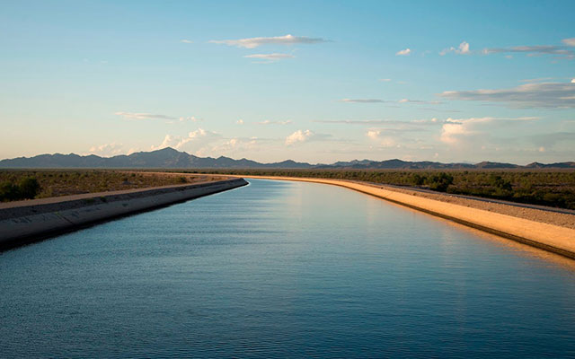 Many desktop publishing